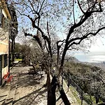 Panorama With Beautiful Private Garden Вилла Санта-Маргерита-Лигуре