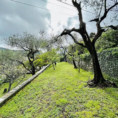 Villa Panorama With Beautiful Private Garden
