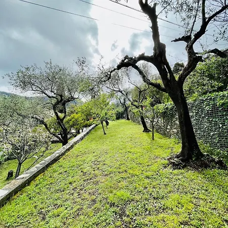 Villa Panorama With Beautiful Private Garden