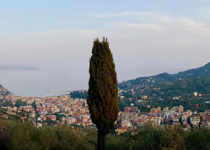 Panorama With Beautiful Private Garden
