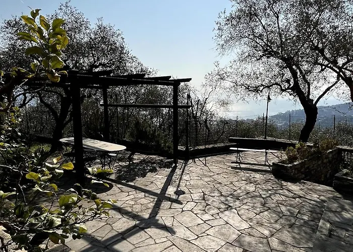 Panorama With Beautiful Private Garden